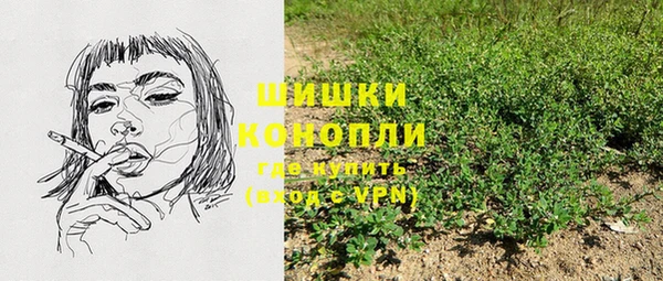 гашик Арсеньев