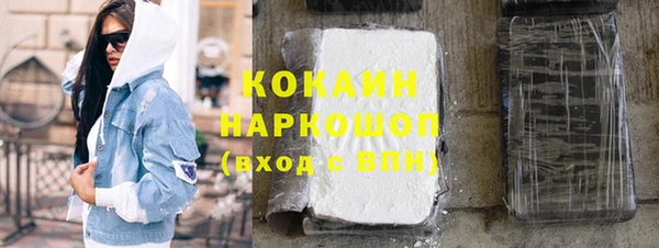 гашик Арсеньев