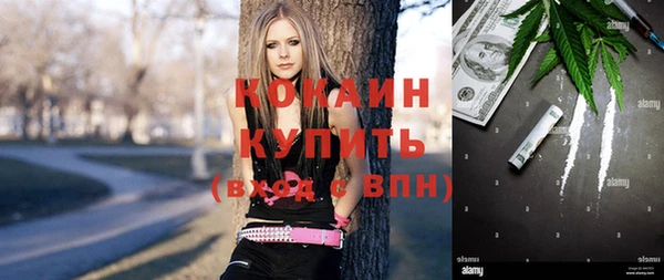 гашик Арсеньев