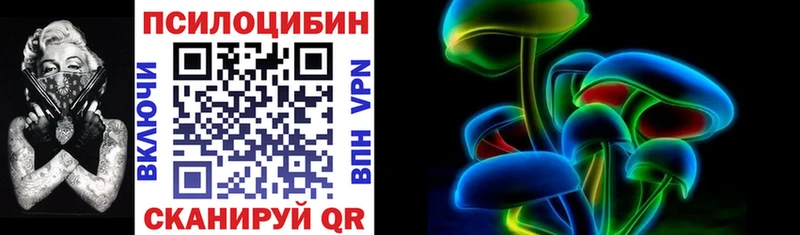 Псилоцибиновые грибы Psilocybe  Купить  Углегорск 